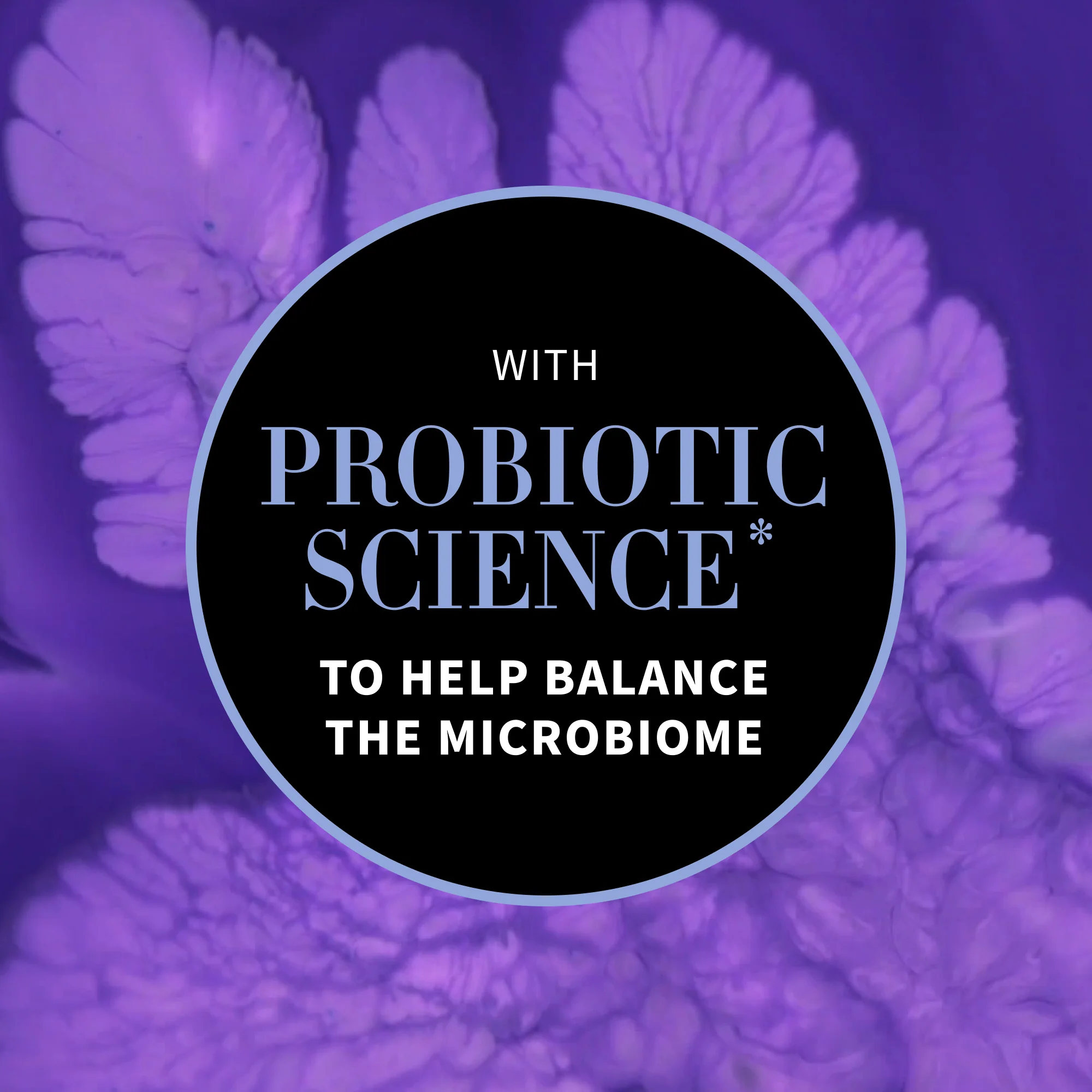 Antipodes Culture Probiotic Night Recovery Water Cream 15ml - Image 6